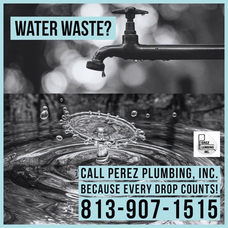 PLUMBERS OF NEW TAMPA, For All Your Tampa Plumbing Needs! Tampa FL 33647 8139071515